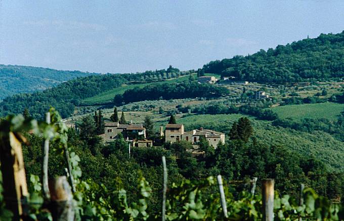 Ferienwohnungen Weingut SAN LEONARDO in der Toskana, Italien